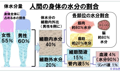 接骨药价格网 - 网站提供接骨药配方小常识、接骨药有哪些